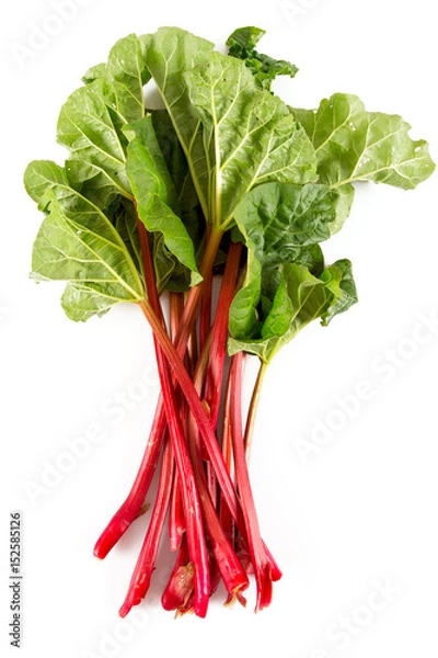 Obraz fresh rhubarb isolated on white