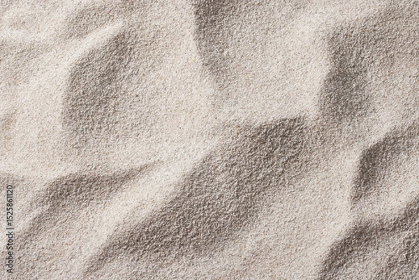 Fototapeta Seashells and Starfish on Soft Beach Sand – Minimal Summer Nature Background.