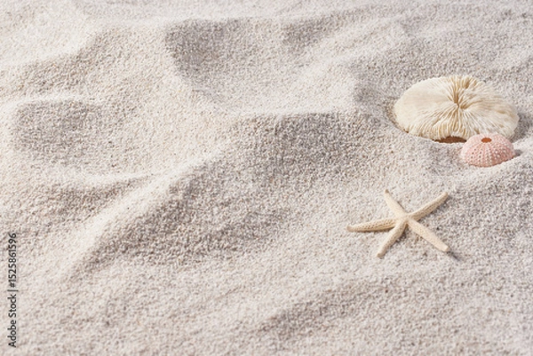 Fototapeta Seashells and Starfish on Soft Beach Sand – Minimal Summer Nature Background.