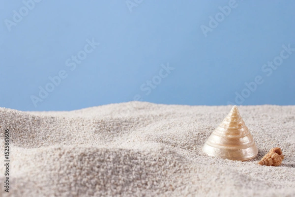 Fototapeta Seashells and Starfish on Soft Beach Sand – Minimal Summer Nature Background.