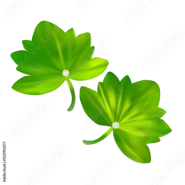 Fototapeta Vector illustration of two green leaves with pearl centers, created using mesh gradient.