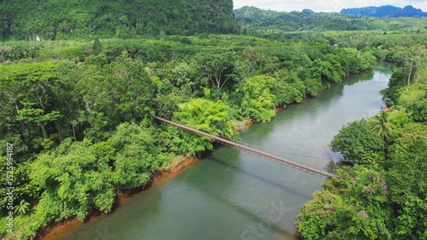 Fototapeta Aerial view of the bridge over the river with the greenery rainforest and mountains
