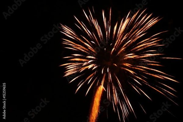 Obraz Fuego artificial