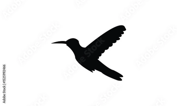 Fototapeta Flying Amazilia hummingbird Silhouette Design  And Vector Illustration. 