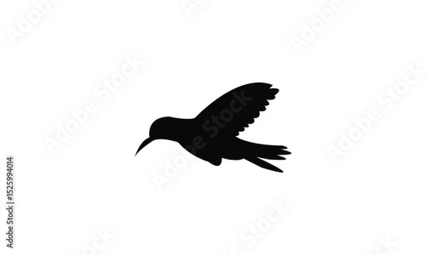 Fototapeta Flying Amazilia hummingbird Silhouette Design  And Vector Illustration. 