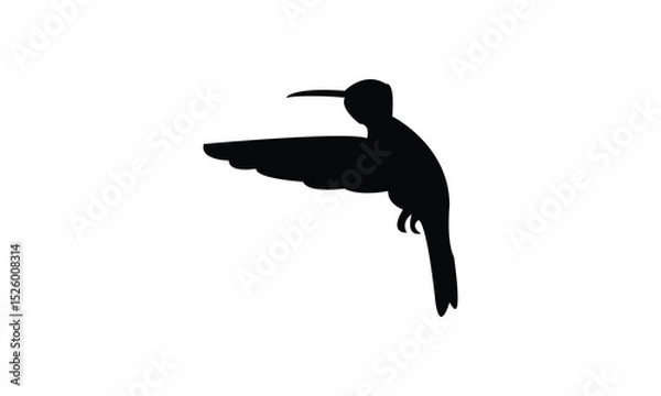 Fototapeta Flying Amazilia hummingbird Silhouette Design  And Vector Illustration. 