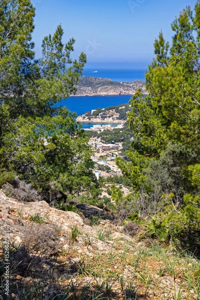 Obraz View through the trees towards a village on the coast of Mallorca