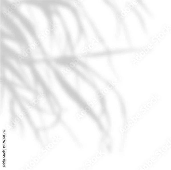 Fototapeta Soft shadow of tree branches on white background. Natural light overlay with subtle palm or leaf silhouettes. Minimal botanical shadow backdrop for product display. Realistic vector illustration.