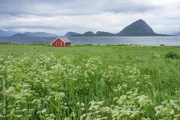 Fototapeta Green field and blue sky at Høgsteinneset, Godøy, Giske, More og Romsdal, Norway