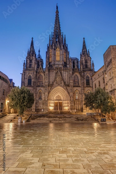 Fototapeta The imposing Barcelona Cathedral at dawn with no people
