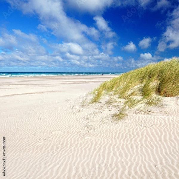 Fototapeta summer at the beach, salty ocean breeze over the white sand beach with endless dunes, blue sky and white clouds