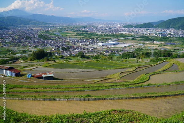 Fototapeta 姨捨の棚田　田植えシーズン
