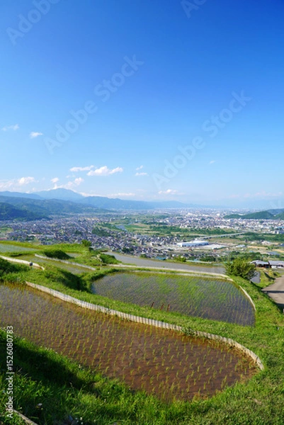Fototapeta 姨捨の棚田　田植えシーズン