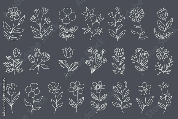 Fototapeta Hand drawn floral illustrations featuring various flowers and leaves on dark background, perfect for design projects