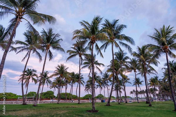 Fototapeta Silhouetted palm trees of Miami Beach stand tall against a vibrant sunset sky