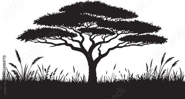 Fototapeta Majestic african acacia tree silhouette savanna landscape