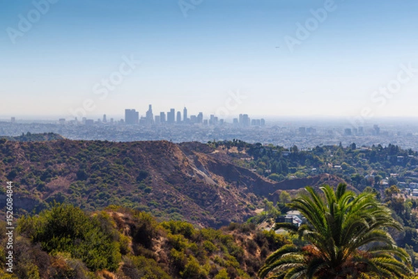 Fototapeta Los Angeles skyline with iconic skyscrapers on the horizon framed by vibrant palm leaves in the foreground