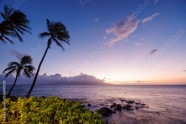 Fototapeta Stunning Hawaii ocean sunset with silhouettes of palm trees swaying against a vibrant sky