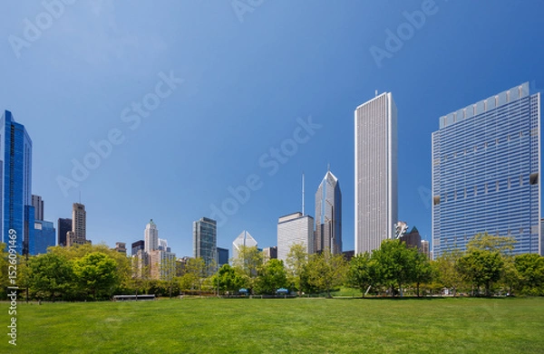 Fototapeta Sunny view of downtown Chicago with iconic skyscrapers rising above a lush green park meadow