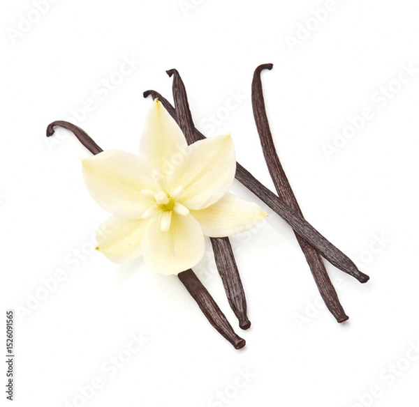 Obraz Vanilla stick with flower on white backgrounds