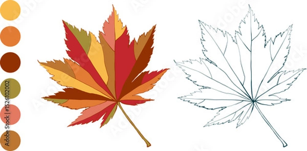 Fototapeta Set of hand-drawn fall colored maple autumn leaves isolated on white background. Flat and line styles vector illustration.