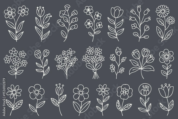 Fototapeta Floral illustrations featuring various flower designs, including stems and leaves, on dark background, creating charming and artistic vibe
