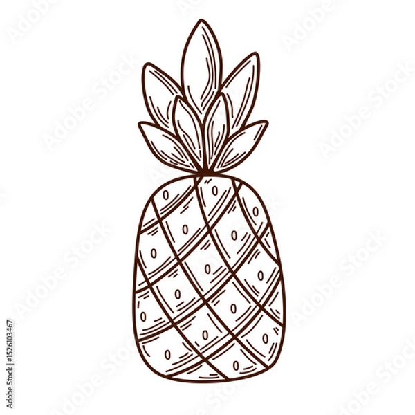 Fototapeta Pineapple fruit outline. Sketch drawing. Doodle style. Line art