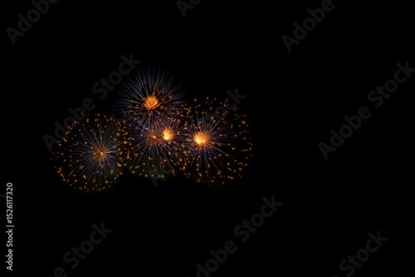 Fototapeta Firework celebrate an American National Day anniversary party in night background. Beautiful Fireworks Concept.