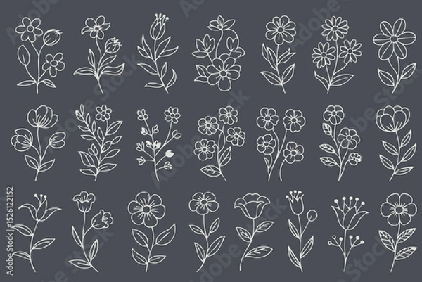 Fototapeta Delicate floral illustrations in variety of styles, featuring hand drawn flowers and leaves on dark background, evoke sense of elegance and nature