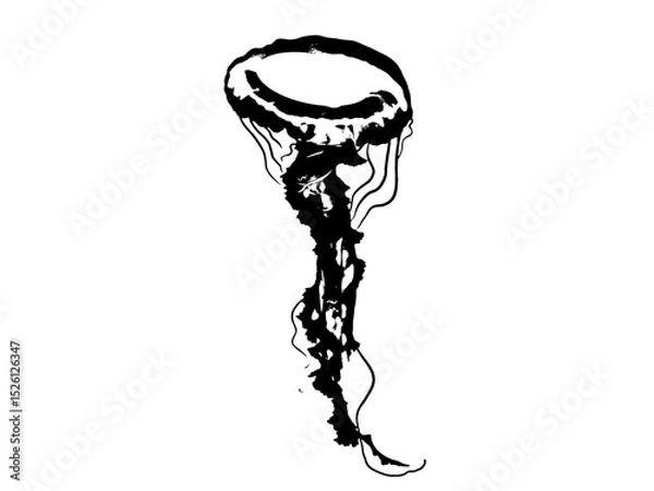 Fototapeta  hand drawn illustration of Jelly Fish on isolated background in outline style. Drawing of sea animal. Engraving of undersea fish painted by black ink for icon or logo. Linear sketch