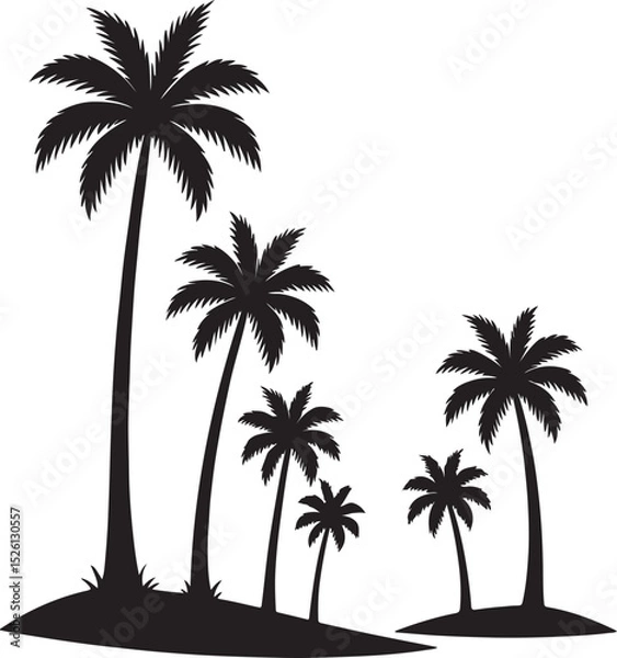 Obraz Silhouette of Tropical Palm Trees on an Island