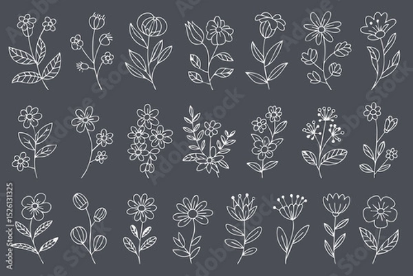 Fototapeta Hand drawn floral illustrations featuring various flowers and leaves on dark background, perfect for design projects