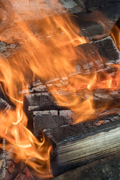 Obraz abstract fire from burning wood close up