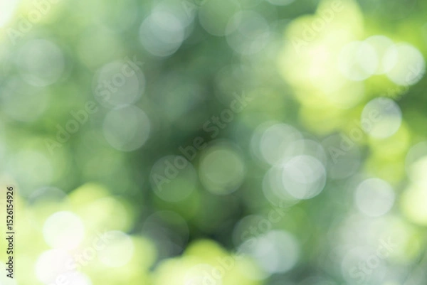 Obraz 玉ボケ・丸ボケ（ 森の木々）背景素材