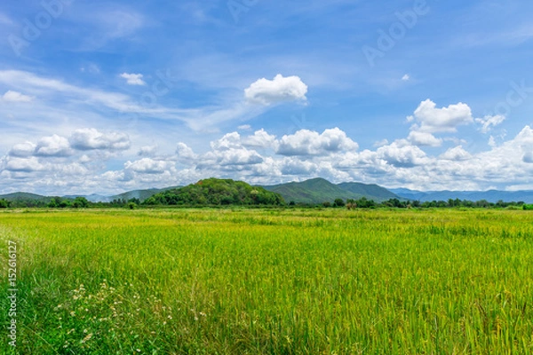 Obraz Thai agriculture