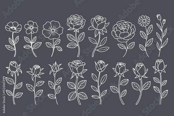 Fototapeta Floral illustrations featuring various flower designs, including roses and daisies, with intricate line art on dark background