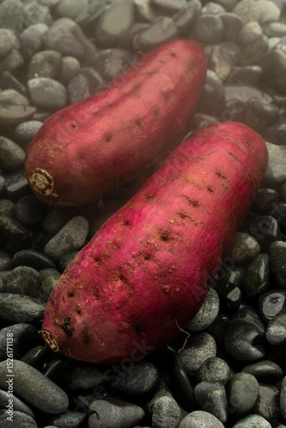 Fototapeta 石焼き芋