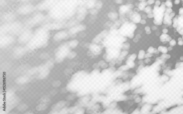 Fototapeta Abstract shadow overlay from tree branch on a transparent background.