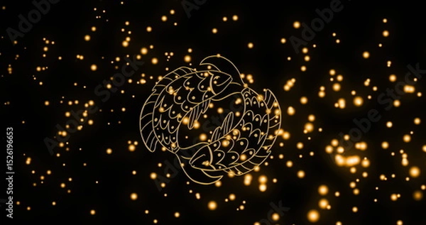 Fototapeta Image of twin fish of pisces zodiac sign against illuminated moving lens flares