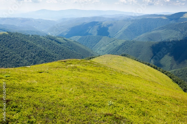 Fototapeta rolling scenery with grassy alpine meadow. smooth grassy highland. scenic carpathian mountain landscape of borzhava ridge. popular travel destination of ukraine on a sunny day in summer