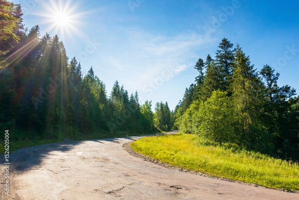 Fototapeta pass through green coniferous forest. sun on the blue sky. old road in carpathian mountains. volovets district of transcarpathia region, ukraine. travel landscape in summer on a sunny day
