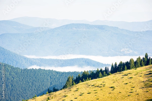 Fototapeta mountain landscape of ukrainian alps in summer. peaceful nature scenery. morning scenery with fog in the distant valley. forest on the steep slope of chornohora ridge. outdoor adventure