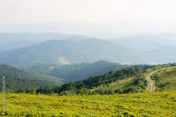 Fototapeta beautiful view of mountain landscape in summer. green hill rolling in to the distance in evening light