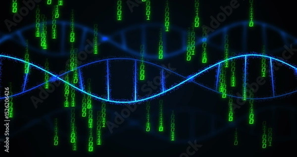 Fototapeta Image of data processing over dna strands