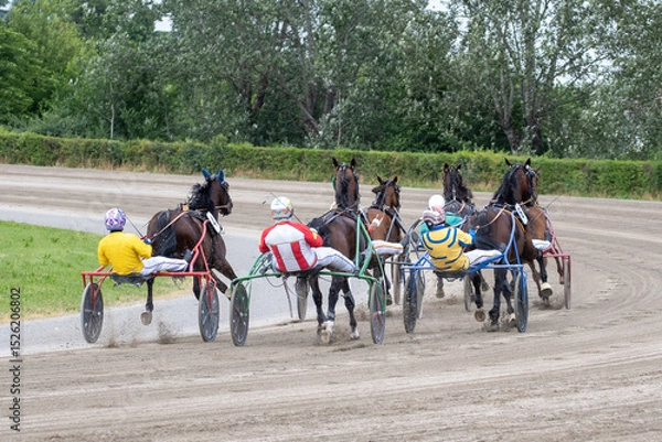Obraz Modena, Italy – 05 18 2025: Racing horses trots and rider on a track of stadium. Competitions for trotting horse racing. Horses compete in harness racing. Horse runing at the track with rider.
