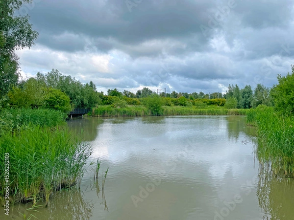 Obraz The edge of a canal in wetland in a cloudy sky in bright sunlight in springtime,  Oostvaardersplassen, Almere, Flevoland, Netherlands, June 07, 2025