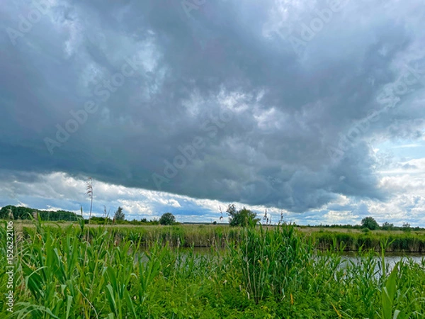 Obraz The edge of a canal in wetland in a cloudy sky in bright sunlight in springtime,  Oostvaardersplassen, Almere, Flevoland, Netherlands, June 07, 2025