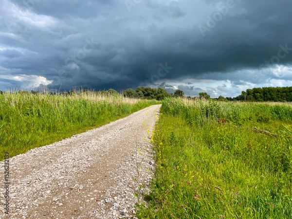 Obraz The edge of a canal in wetland in a cloudy sky in bright sunlight in springtime,  Oostvaardersplassen, Almere, Flevoland, Netherlands, June 07, 2025