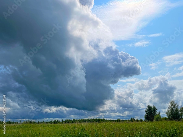 Obraz The edge of a canal in wetland in a cloudy sky in bright sunlight in springtime,  Oostvaardersplassen, Almere, Flevoland, Netherlands, June 07, 2025