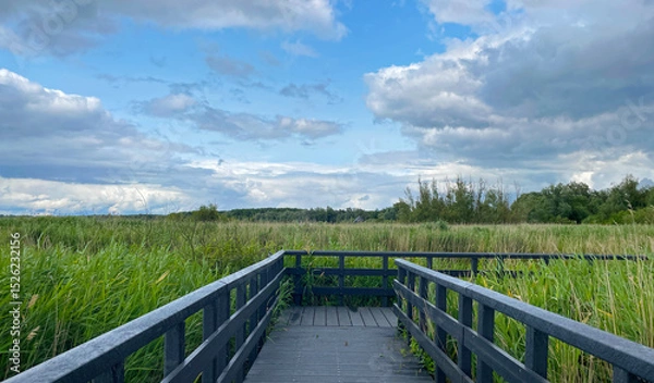 Obraz The edge of a canal in wetland in a cloudy sky in bright sunlight in springtime,  Oostvaardersplassen, Almere, Flevoland, Netherlands, June 07, 2025